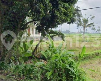 TANAH SEWA ZONA KUNING VIEW SAWAH TERASERING KEREN
