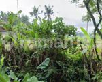 thumbnail-tanah-sewa-zona-kuning-view-sawah-terasering-keren-3