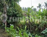 thumbnail-tanah-sewa-zona-kuning-view-sawah-terasering-keren-4