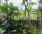 thumbnail-tanah-sewa-zona-kuning-view-sawah-terasering-keren-7