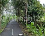 thumbnail-tanah-sewa-zona-kuning-view-sawah-terasering-keren-1