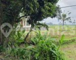 thumbnail-tanah-sewa-zona-kuning-view-sawah-terasering-keren-0