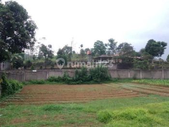 Tanah Murah Hanya 900 Ribuan Dekat Taman Safari Bogor.free SHM