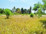 thumbnail-dijual-tanah-los-sungai-di-ubud-view-sungai-1