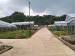 thumbnail-tanah-kavling-harmoni-farm-house-500-m2-di-bogor-timur-2