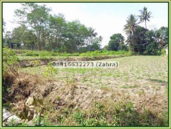 Tanah Jogja Dekat Puskesmas Ngemplak, Promo Mulai 1jtan