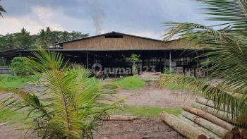 Pabrik Triplek Lahan Luas Di Lempeni, Tempeh Lumajang