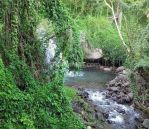 thumbnail-perkebunan-banyuatis-view-sawah-dan-perbukitan-0