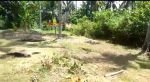 thumbnail-tanah-seluas-3150-are-berlokasi-dekat-dengan-pantai-desa-yeh-sumbul-kecamatan-2