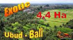 thumbnail-44-ha-tanah-dominan-datar-8-menit-dari-monkey-forest-0