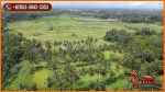 thumbnail-44-ha-tanah-dominan-datar-8-menit-dari-monkey-forest-5