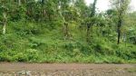 thumbnail-dijual-tanah-kebun-wonosalam-jombang-1