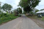 thumbnail-tanah-jogja-dekat-pasar-godean-dan-pintu-tol-4