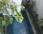 thumbnail-dijual-disewakan-villa-3br-at-seminyak-furnished-land-size-200m2-10