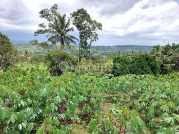 Tanah Luas Dijual di Sukabumi, Jawa Barat