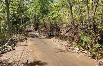 Pecatu Graha Full View Land for Sale/Lease