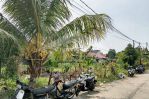 thumbnail-tanah-harga-murah-sungai-raya-dalam-pontianak-kota-2