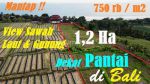 thumbnail-dijual-lahan-sebelah-wisata-rambutsiwi-pinggir-jalan-posisi-hook-0