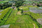 thumbnail-green-belt-view-land-kedunggu-bali-7