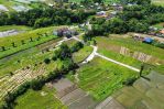 thumbnail-green-belt-view-land-kedunggu-bali-5