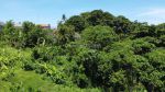 thumbnail-jual-tanah-view-sungai-15-menit-ke-canggu-3