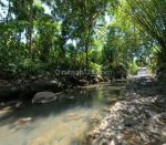 thumbnail-jual-tanah-view-sungai-15-menit-ke-canggu-4