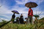 thumbnail-kavling-view-kota-bandung-dkt-buah-batu-ciganitri-cikoneng-podomoro-5