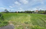 thumbnail-brand-new-villa-ricefield-view-for-leasehold-1