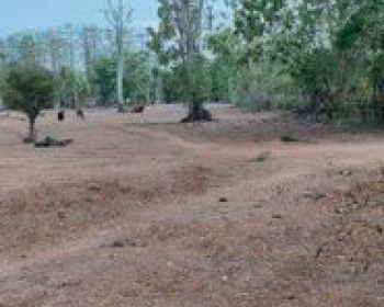 Balangan Land for Sale