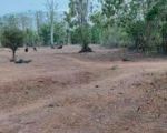 thumbnail-balangan-land-for-sale-0