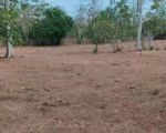 thumbnail-balangan-land-for-sale-3