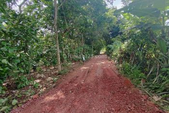 Jual Murah Tanah Kavling Cisauk Dekat Simpang Sususn Legok