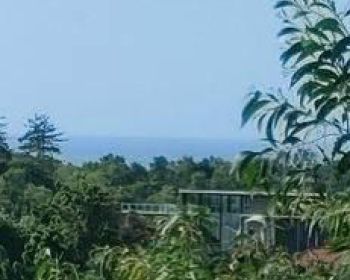 Pecatu Graha Land area for Sale