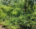 thumbnail-pecatu-graha-land-area-for-sale-1