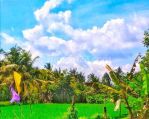 thumbnail-di-jual-cepat-lahan-murah-ubud-dilingkungan-strategis-8