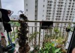 thumbnail-jarang-ada-jual-murah-apartemen-mediterania-2-1-bedroom-unfurnish-4