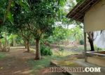 thumbnail-dijual-cepat-ruko-rumah-di-kecamatan-cilamaya-wetan-kabupaten-karawang-10