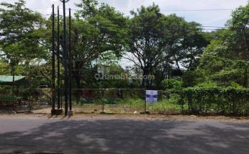 Raya Sambikerep Kuwukan Lontar