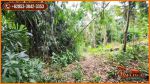 thumbnail-view-sungai-dan-hutan-1700-m2-di-sukawati-ubud-7