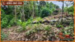 thumbnail-view-sungai-dan-hutan-1700-m2-di-sukawati-ubud-8