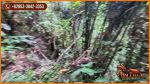 thumbnail-view-sungai-dan-hutan-1700-m2-di-sukawati-ubud-10