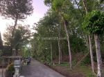 thumbnail-tanah-pekarangan-hanay-14-juta-belakang-kampus-ukdw-sedayu-cocok-untuk-rumah-7