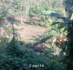 thumbnail-jual-tanah-kota-cianjur-1