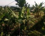 thumbnail-jual-tanah-kota-cianjur-8