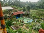 thumbnail-di-jual-vila-plus-kebun-murah-ciwidey-1