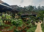 thumbnail-di-jual-vila-plus-kebun-murah-ciwidey-5