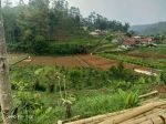 thumbnail-di-jual-vila-plus-kebun-murah-ciwidey-2