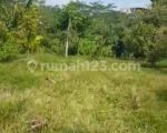 thumbnail-dijual-kebun-durian-7400m2-mojosongo-boyolali-murah-dibawah-pasaran-0