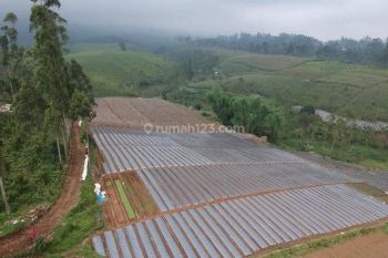 Dijual Tanah Pangalengan Dekat Wisata Situ Cileunca