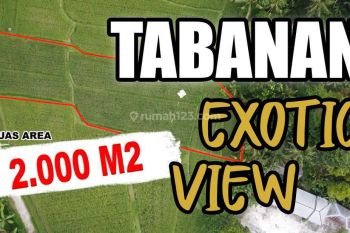 Lahan Pinggir Jalan Kontur Datar Dijual Murah Area Penebel